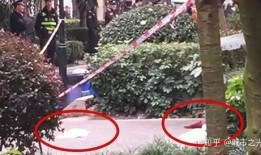 成都住户爆料案件最新,惊曝小区内惊悚命案，真相令人震惊！